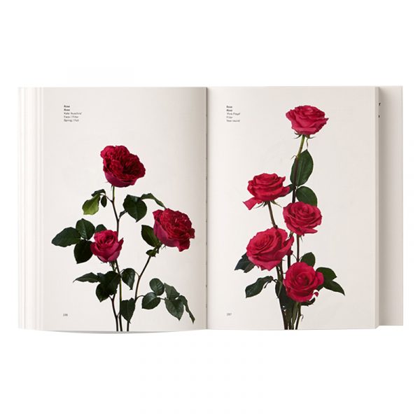 Flower Color Guide - Image 3