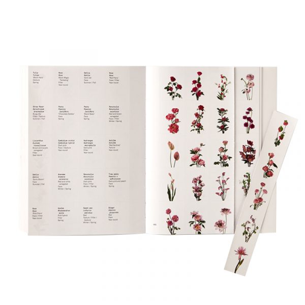 Flower Color Guide - Image 4