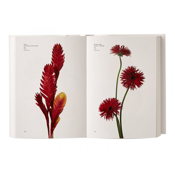 Flower Color Guide - Image 6