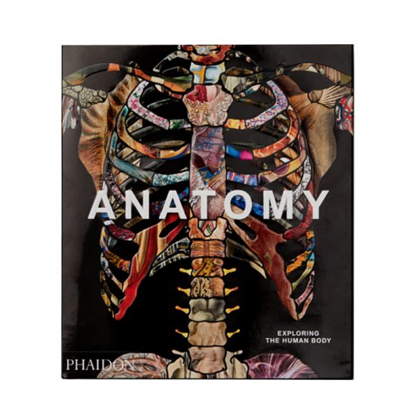 Anatomy
