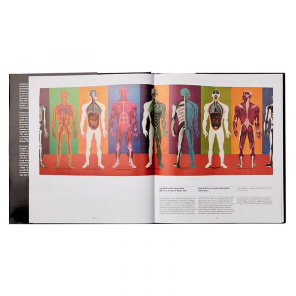 Anatomy - Image 4