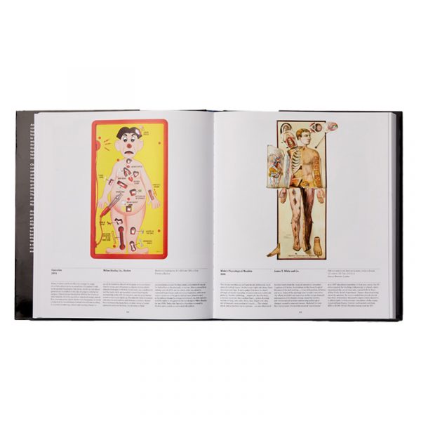 Anatomy - Image 5