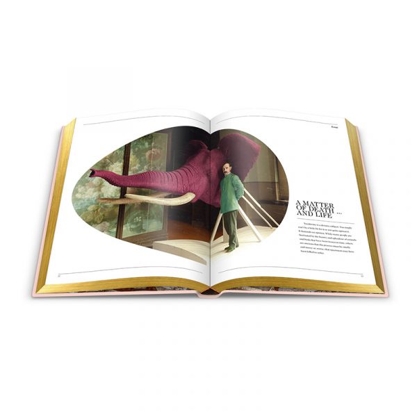 Our First Book: Fine Taxidermy - Image 2