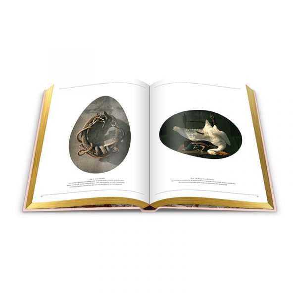 Our First Book: Fine Taxidermy - Image 3