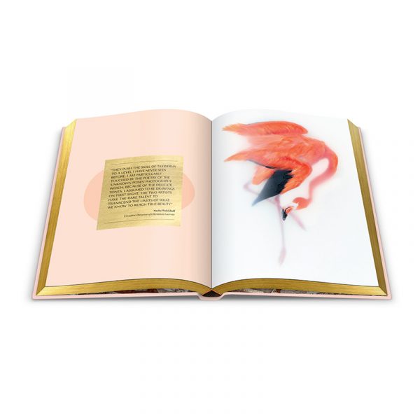 Our First Book: Fine Taxidermy - Image 4
