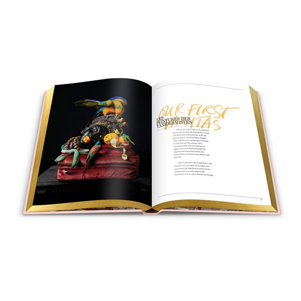 Our First Book: Fine Taxidermy - Image 5