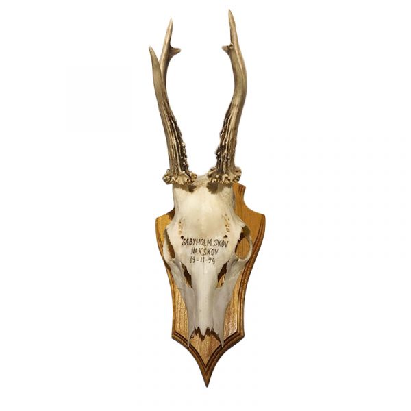Antler Trophy Nakskov 19-11-94