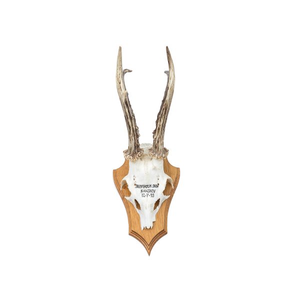 Antler Trophy Nakskov 12-7-93