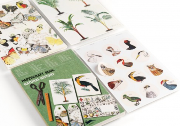 Papercraft Book - Natural History - Image 4