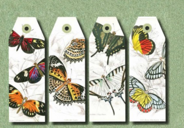 Papercraft Book - Natural History - Image 3