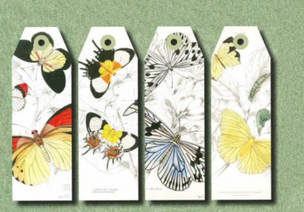 Papercraft Book - Natural History - Image 2