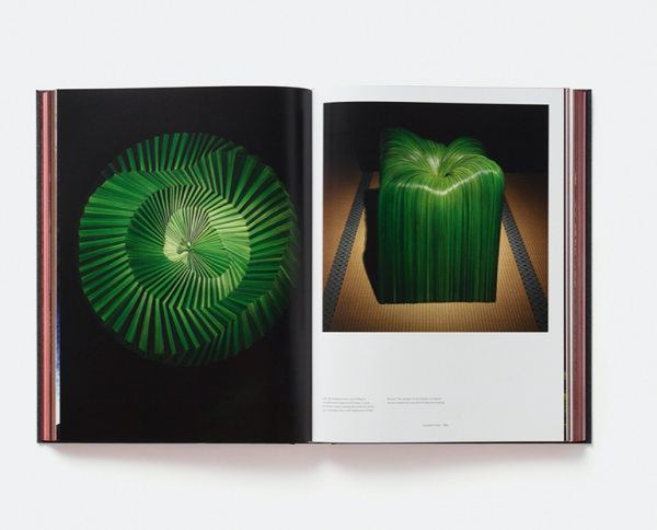 Daniel Ost: Floral Art and the Beauty of Impermanence - Image 4