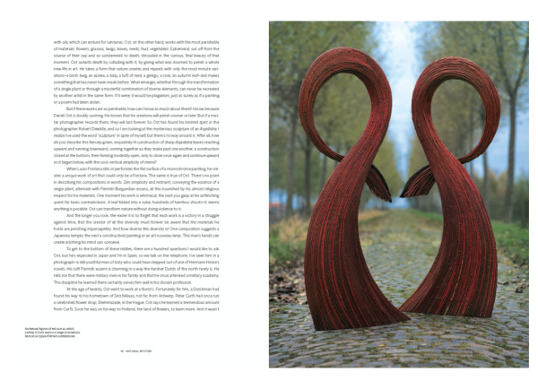 Daniel Ost: Floral Art and the Beauty of Impermanence - Image 2