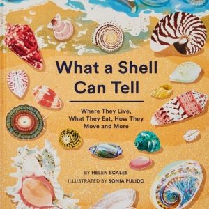 What a Shell Can Tell